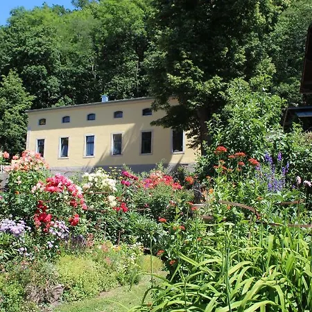Apartment Goldgrund *